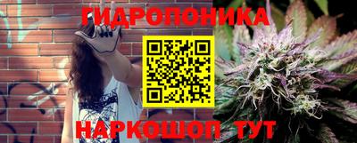 прущие грибы Кулебаки