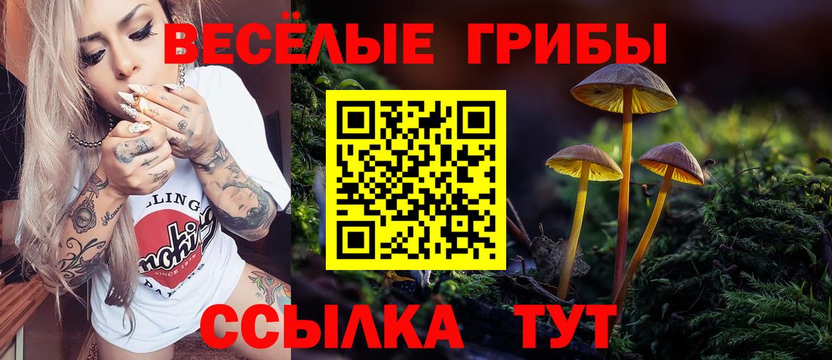 Псилоцибиновые грибы мухоморы  Псилоцибиновые грибы GOLDEN TEACHER  закладка  Керчь  Вход с VPN 